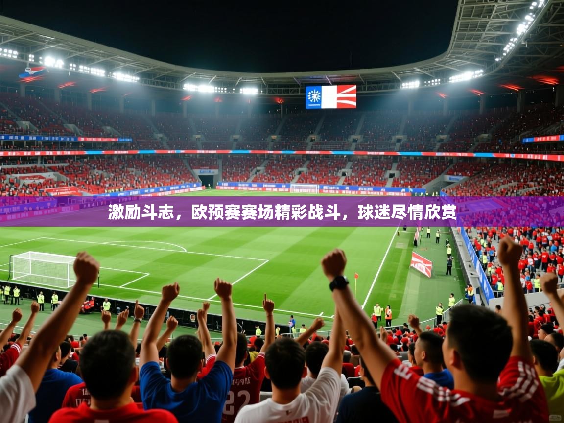 激励斗志,欧预赛赛场精彩战斗,球迷尽情欣赏 第1张