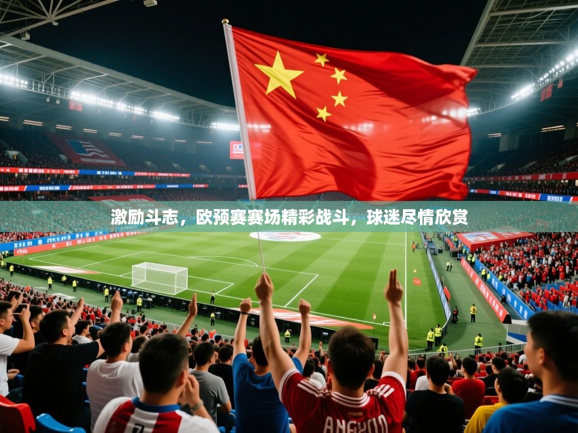 激励斗志,欧预赛赛场精彩战斗,球迷尽情欣赏 第3张